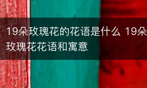 19朵玫瑰花的花语是什么 19朵玫瑰花花语和寓意