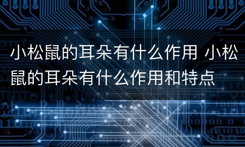 小松鼠的耳朵有什么作用 小松鼠的耳朵有什么作用和特点