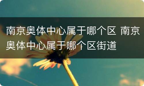 南京奥体中心属于哪个区 南京奥体中心属于哪个区街道