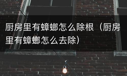 厨房里有蟑螂怎么除根（厨房里有蟑螂怎么去除）