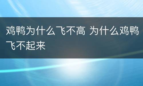 鸡鸭为什么飞不高 为什么鸡鸭飞不起来