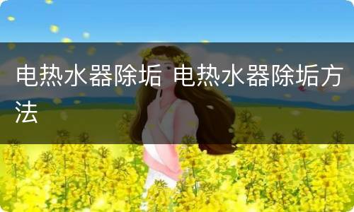 电热水器除垢 电热水器除垢方法