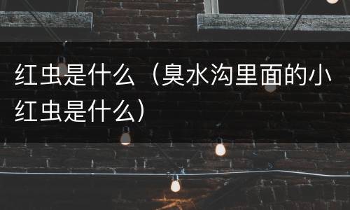 红虫是什么（臭水沟里面的小红虫是什么）