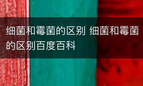 细菌和霉菌的区别 细菌和霉菌的区别百度百科