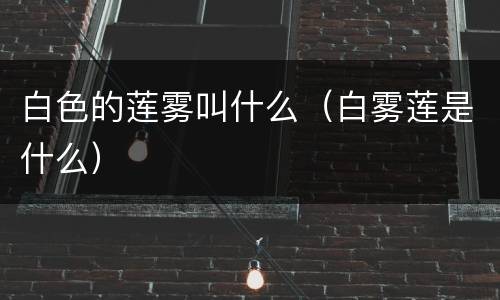 白色的莲雾叫什么（白雾莲是什么）