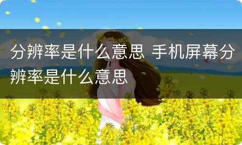 分辨率是什么意思 手机屏幕分辨率是什么意思