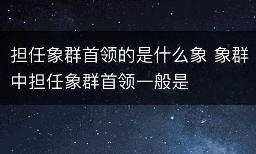 担任象群首领的是什么象 象群中担任象群首领一般是