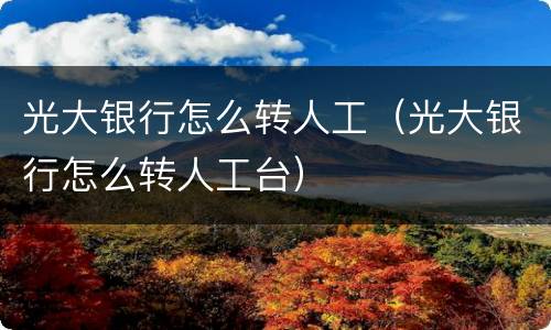 光大银行怎么转人工（光大银行怎么转人工台）