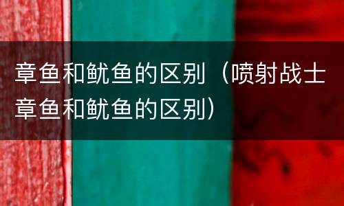 章鱼和鱿鱼的区别（喷射战士章鱼和鱿鱼的区别）