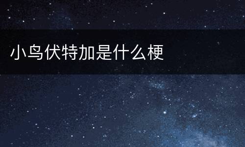 小鸟伏特加是什么梗