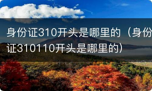 身份证310开头是哪里的（身份证310110开头是哪里的）