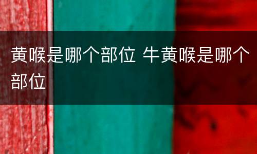 黄喉是哪个部位 牛黄喉是哪个部位