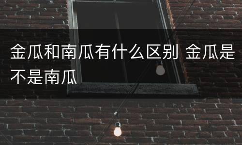 金瓜和南瓜有什么区别 金瓜是不是南瓜