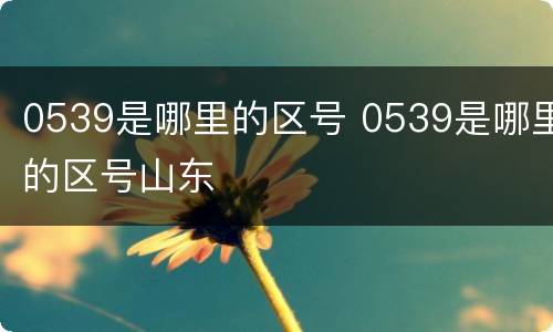 0539是哪里的区号 0539是哪里的区号山东