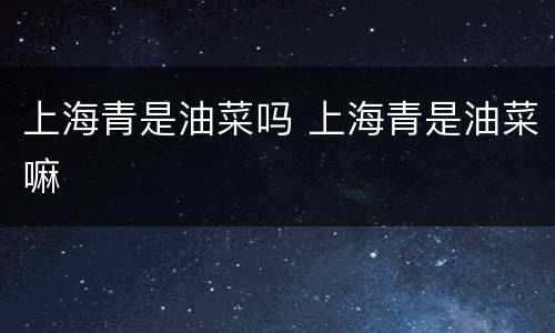 上海青是油菜吗 上海青是油菜嘛
