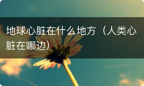 地球心脏在什么地方（人类心脏在哪边）
