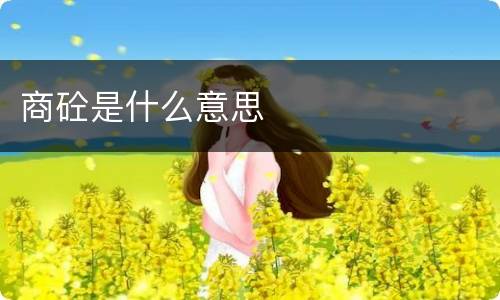 商砼是什么意思