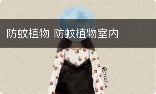 防蚊植物 防蚊植物室内
