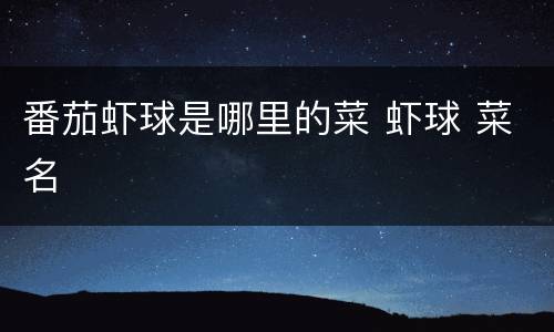 番茄虾球是哪里的菜 虾球 菜名