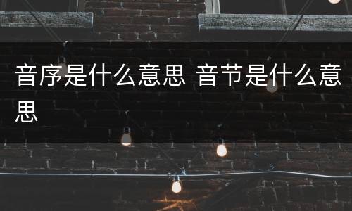 音序是什么意思 音节是什么意思