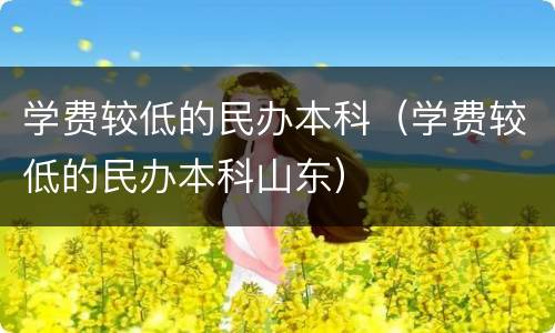 学费较低的民办本科（学费较低的民办本科山东）