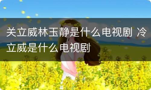 关立威林玉静是什么电视剧 冷立威是什么电视剧
