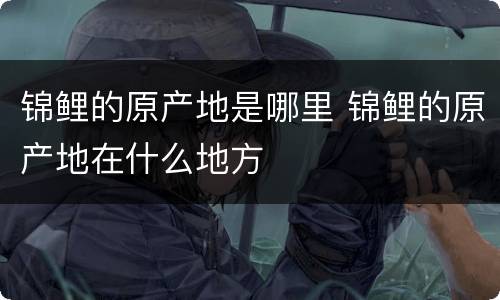 锦鲤的原产地是哪里 锦鲤的原产地在什么地方