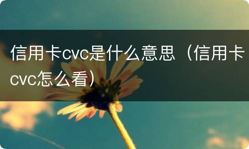 信用卡cvc是什么意思（信用卡cvc怎么看）