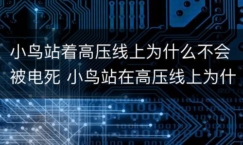 小鸟站着高压线上为什么不会被电死 小鸟站在高压线上为什么不会电死