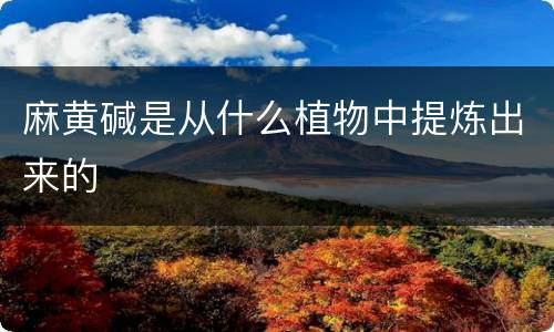 麻黄碱是从什么植物中提炼出来的
