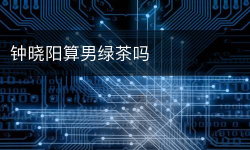 钟晓阳算男绿茶吗