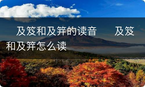 ​及笈和及笄的读音  ​及笈和及笄怎么读