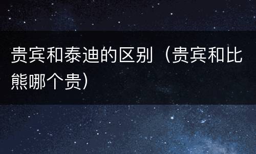 贵宾和泰迪的区别（贵宾和比熊哪个贵）