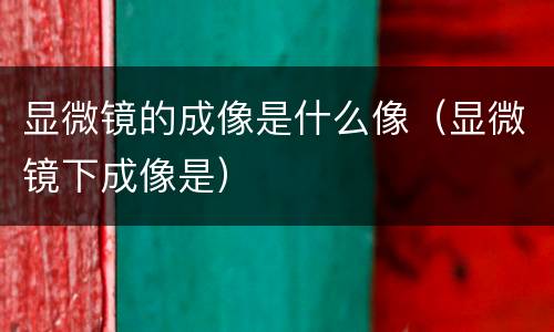 显微镜的成像是什么像（显微镜下成像是）