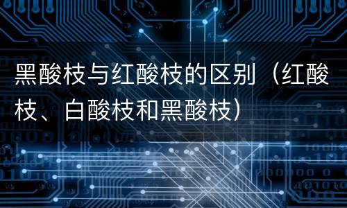 黑酸枝与红酸枝的区别（红酸枝、白酸枝和黑酸枝）