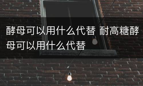酵母可以用什么代替 耐高糖酵母可以用什么代替