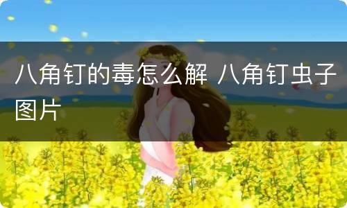 八角钉的毒怎么解 八角钉虫子图片
