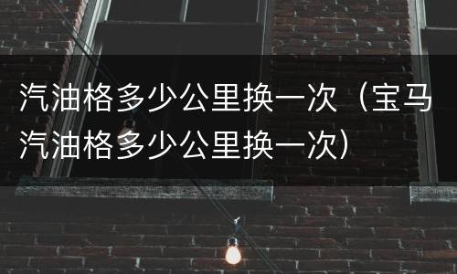 汽油格多少公里换一次（宝马汽油格多少公里换一次）