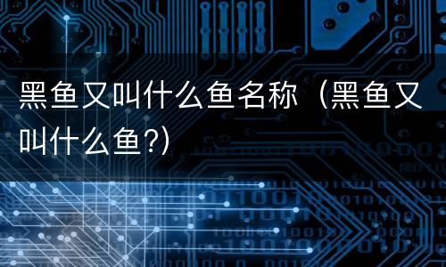 黑鱼又叫什么鱼名称（黑鱼又叫什么鱼?）