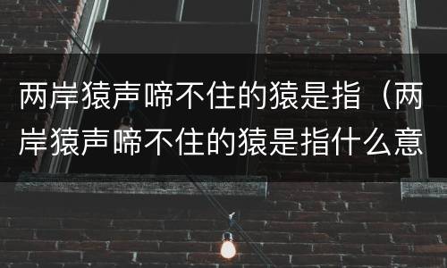 两岸猿声啼不住的猿是指（两岸猿声啼不住的猿是指什么意思）