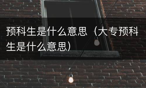 预科生是什么意思（大专预科生是什么意思）