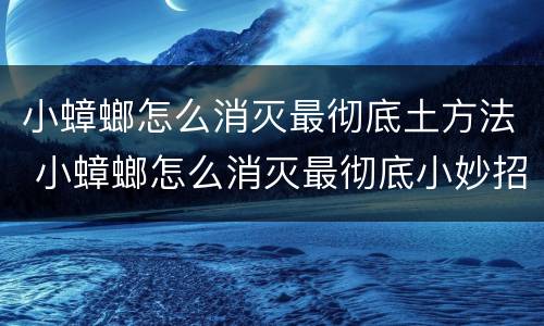 小蟑螂怎么消灭最彻底土方法 小蟑螂怎么消灭最彻底小妙招