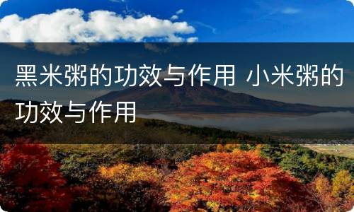 黑米粥的功效与作用 小米粥的功效与作用