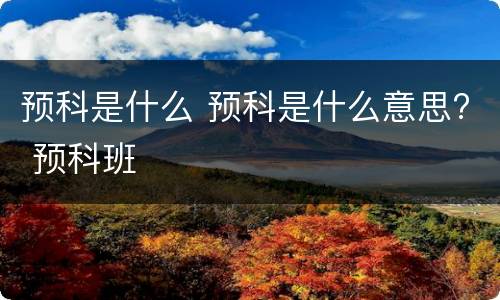 预科是什么 预科是什么意思? 预科班