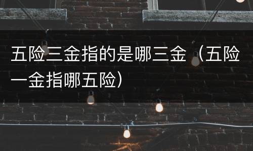 五险三金指的是哪三金（五险一金指哪五险）