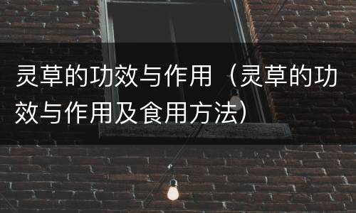灵草的功效与作用（灵草的功效与作用及食用方法）