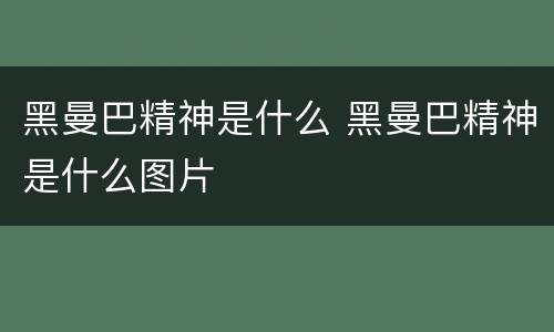 黑曼巴精神是什么 黑曼巴精神是什么图片