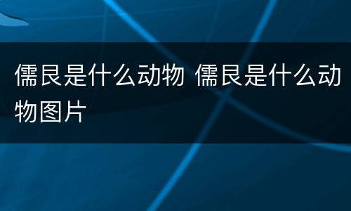 儒艮是什么动物 儒艮是什么动物图片