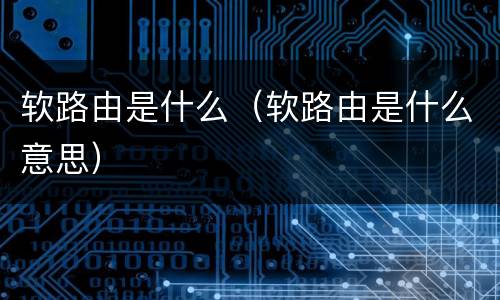 软路由是什么（软路由是什么意思）