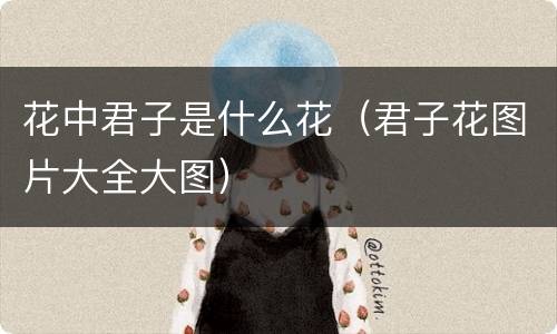 花中君子是什么花（君子花图片大全大图）